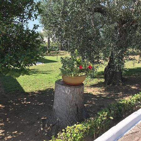 Villa Il Carrubo - Basilicata Пистиччи Экстерьер фото