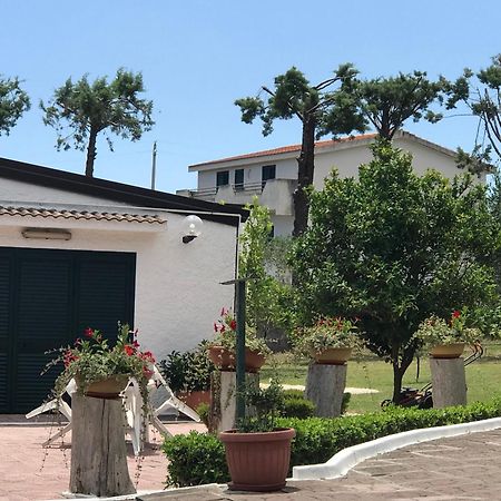 Villa Il Carrubo - Basilicata Пистиччи Экстерьер фото