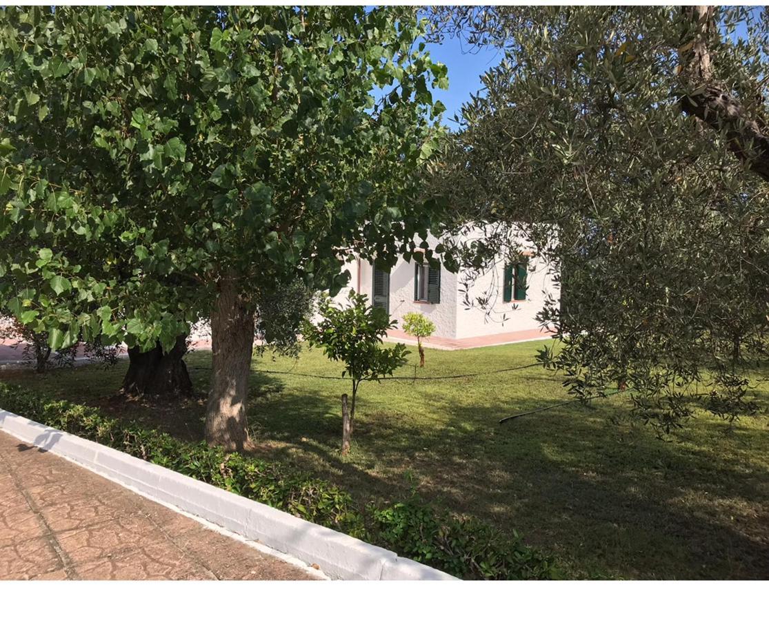 Villa Il Carrubo - Basilicata Пистиччи Экстерьер фото