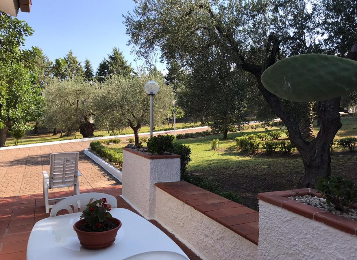 Villa Il Carrubo - Basilicata Пистиччи Экстерьер фото