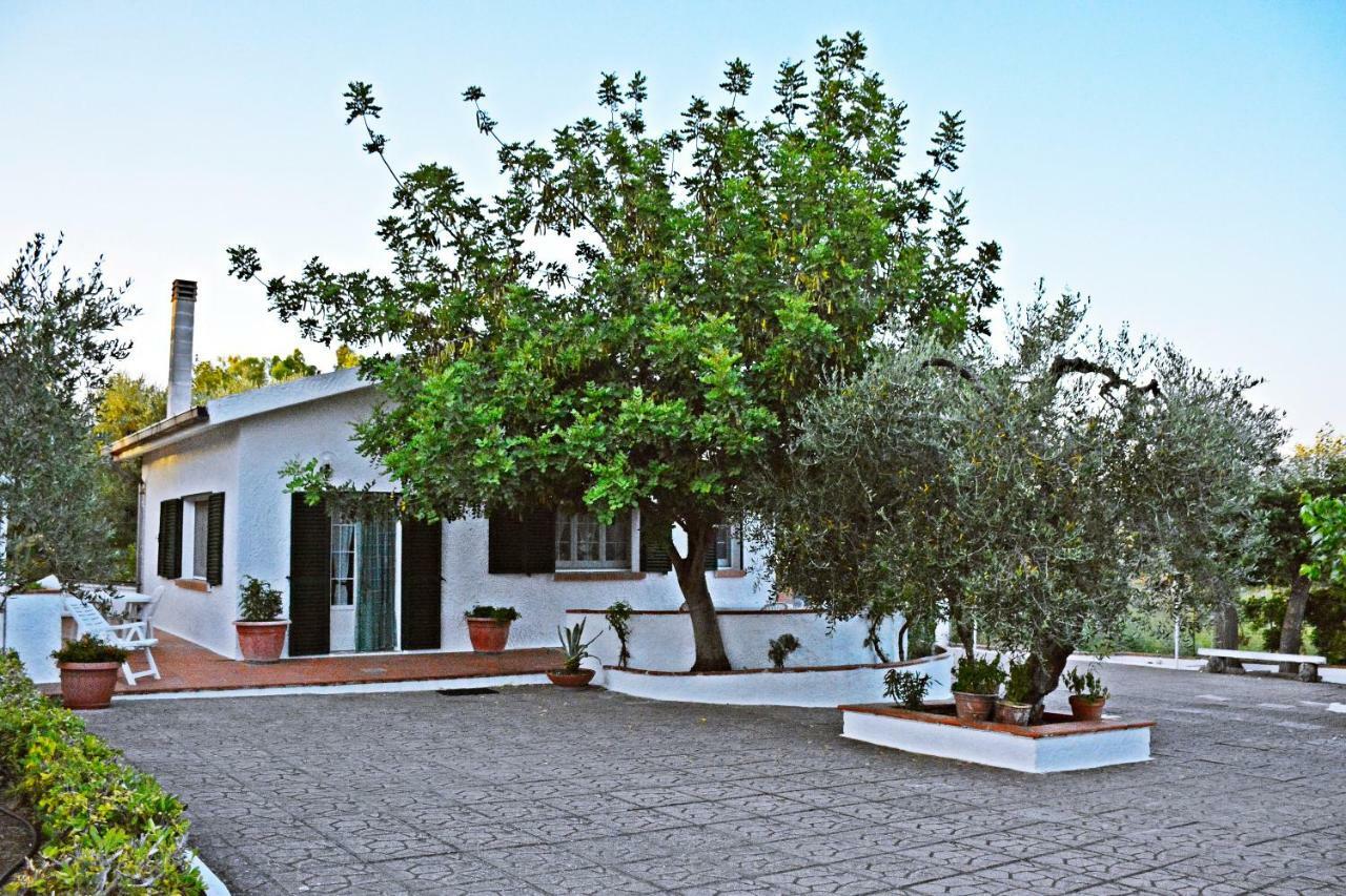 Villa Il Carrubo - Basilicata Пистиччи Экстерьер фото
