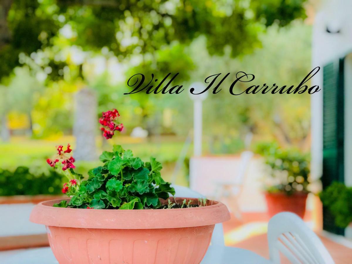 Villa Il Carrubo - Basilicata Пистиччи Экстерьер фото