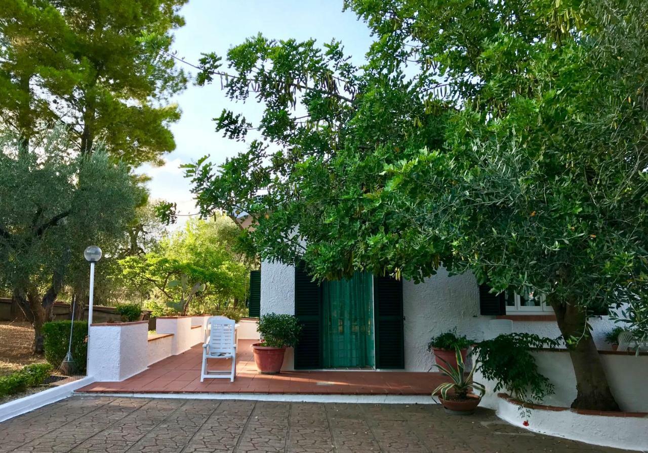 Villa Il Carrubo - Basilicata Пистиччи Экстерьер фото